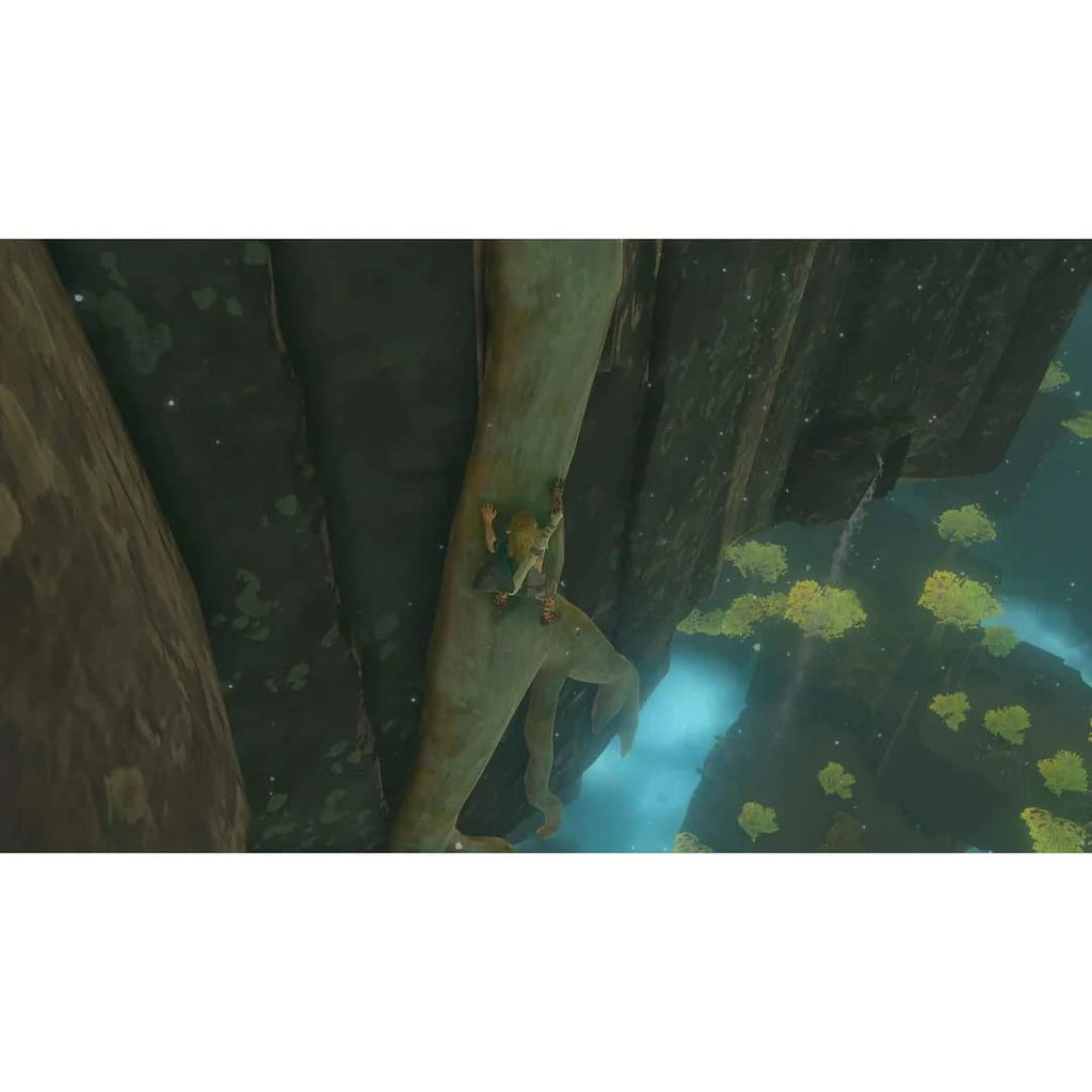 The Legend of Zelda: Tears of the Kingdom for Nintendo Switch L99348