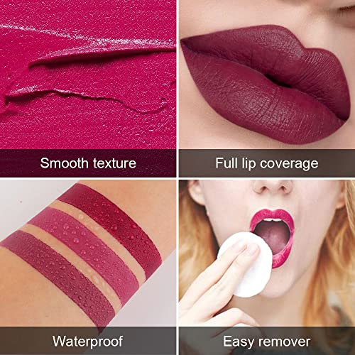 5Pcs Dark Light Bright Red Matte Lipstick Pack Sets M1462
