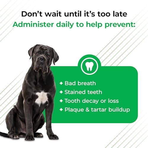 4.2oz Dental Powder for Cat and Dog H1161