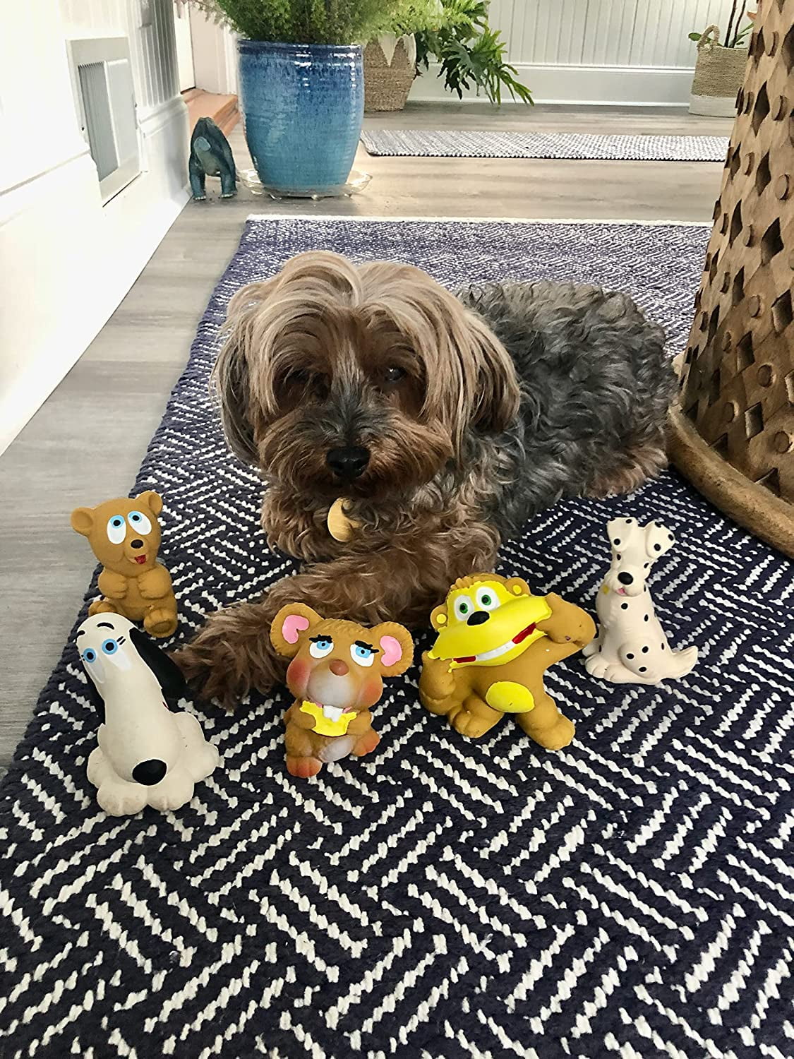 6 Extra Small Natural Rubber Squeaky Toys V193