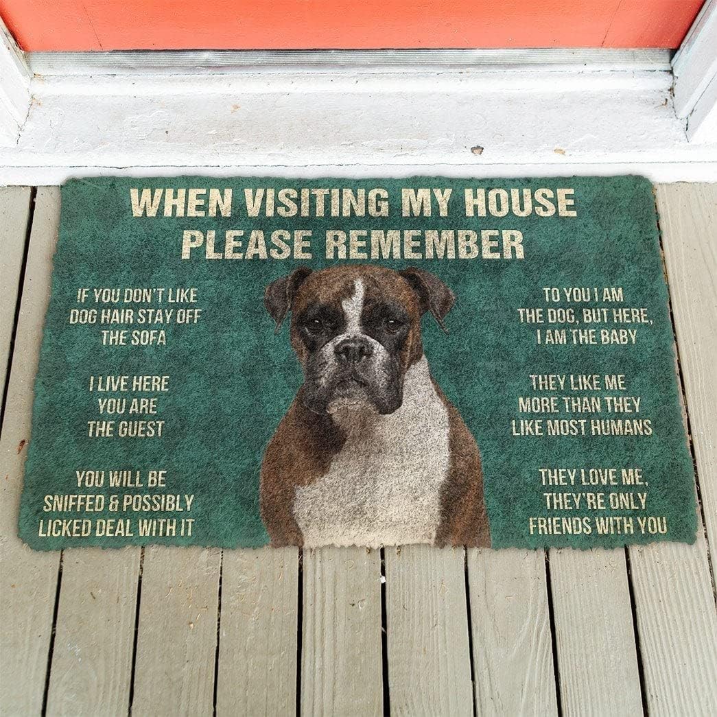 Door Mat V715619