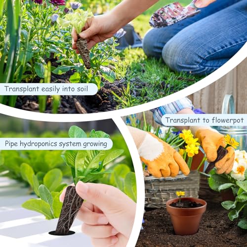 121pcs Seed Pod Kit with 30 Grow Sponges, 30 Grow Baskets, 30 Grow Domes, 1 Tweezers I66235