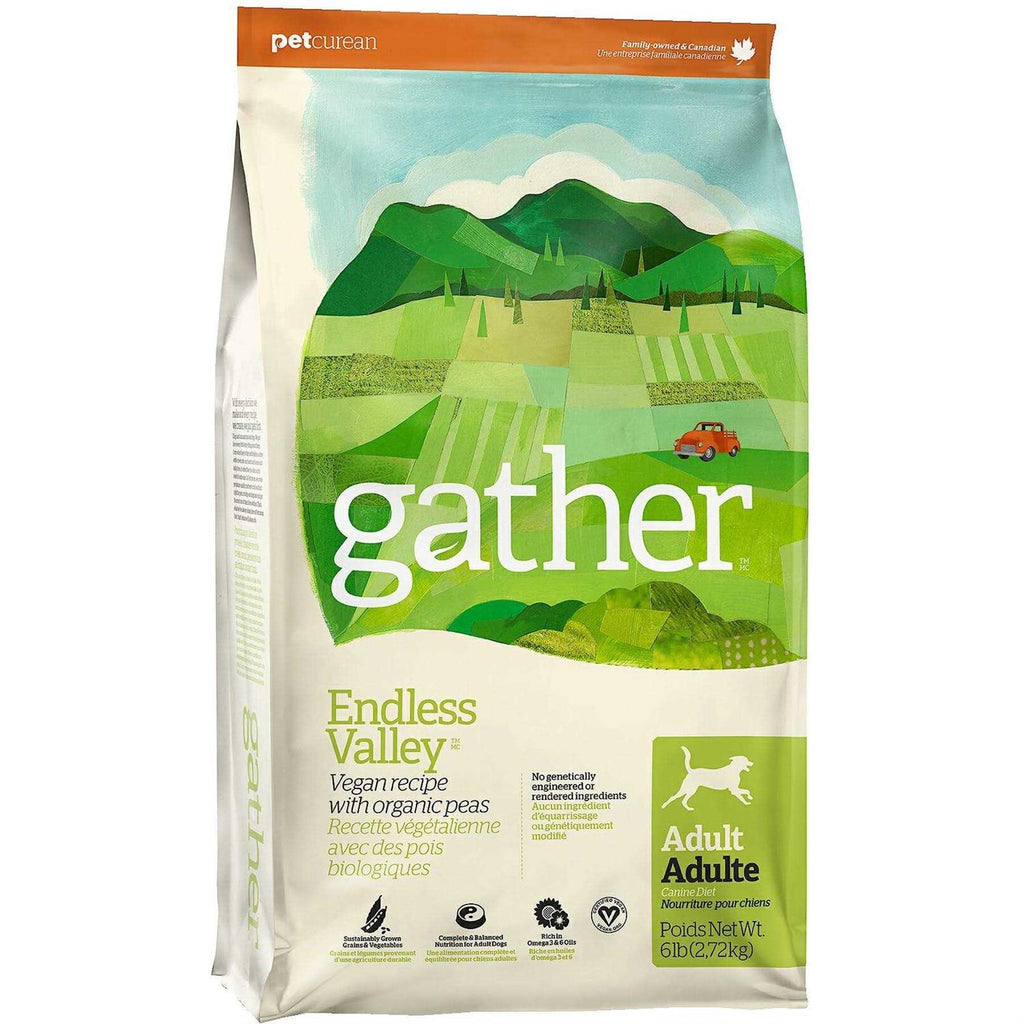 Vegan Recipe with Organic Peas Adult Dry Dog Food H2343