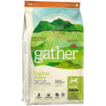 Vegan Recipe with Organic Peas Adult Dry Dog Food H2343