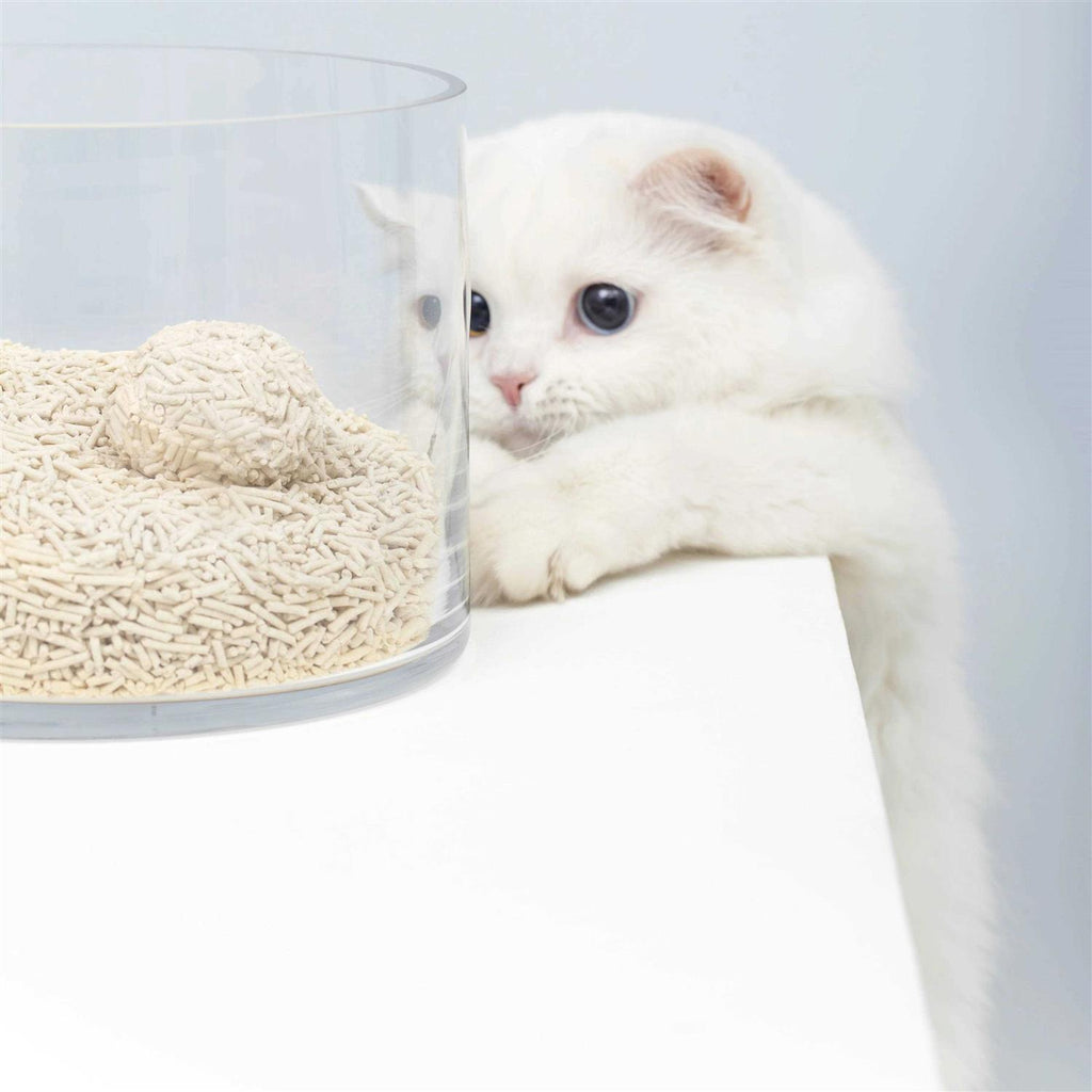 Natural Clumping Tofu Cat Litter 5.5lb R756
