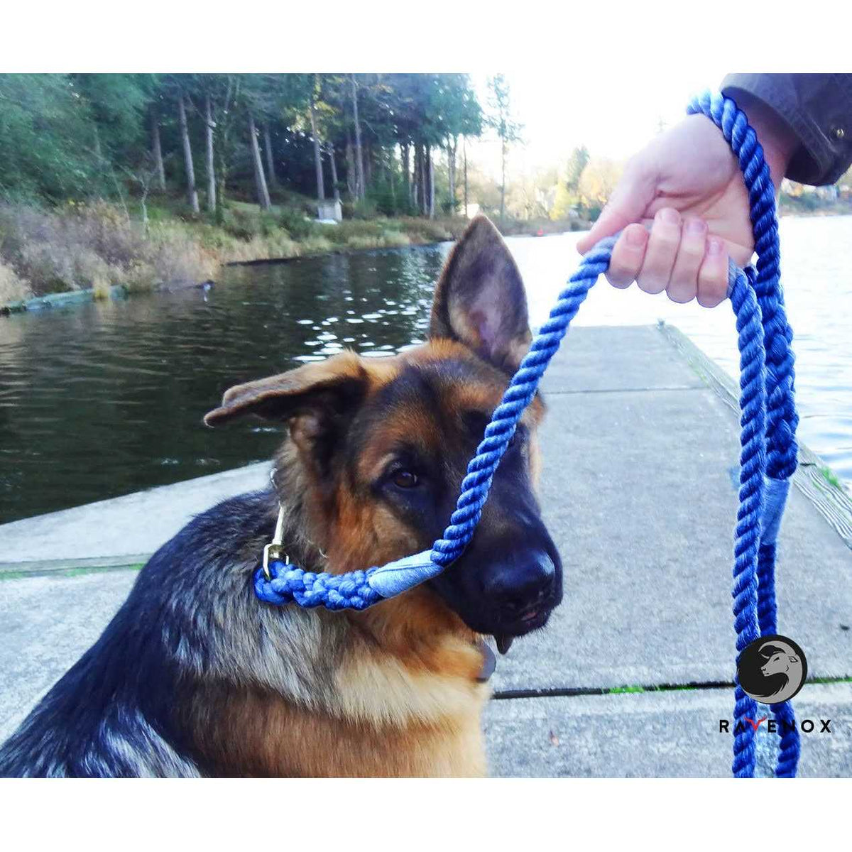 Cotton Rope Leash 12-inch E486