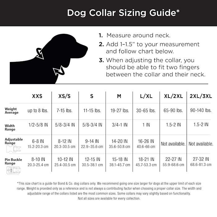 Dog Leash M965423