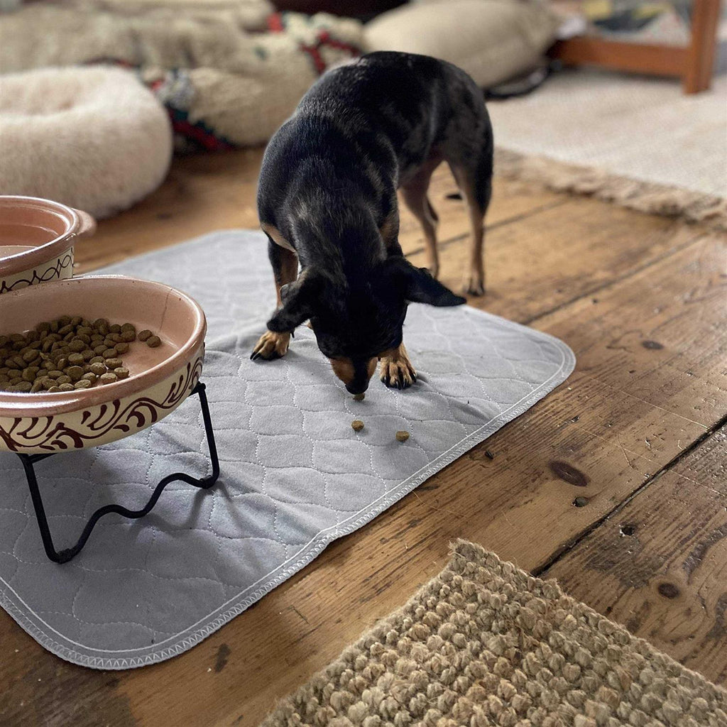 Washable Reusable Pee Pads for Dogs I214983
