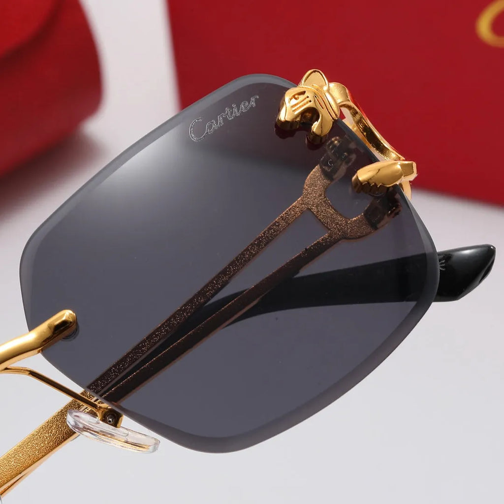 Leopard Frame Polarized Sunglasses X47450