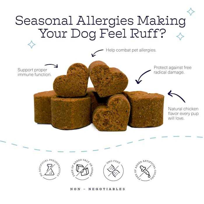Chicken Flavor Immunity Bites Chews for Dogs X910745