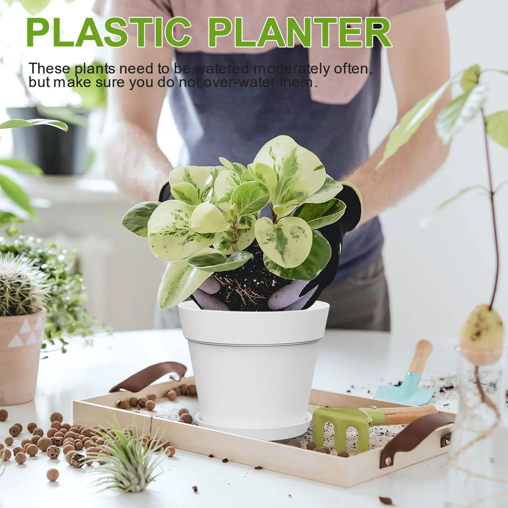 6 Inch Plastic Planters 16 Pack White S61443