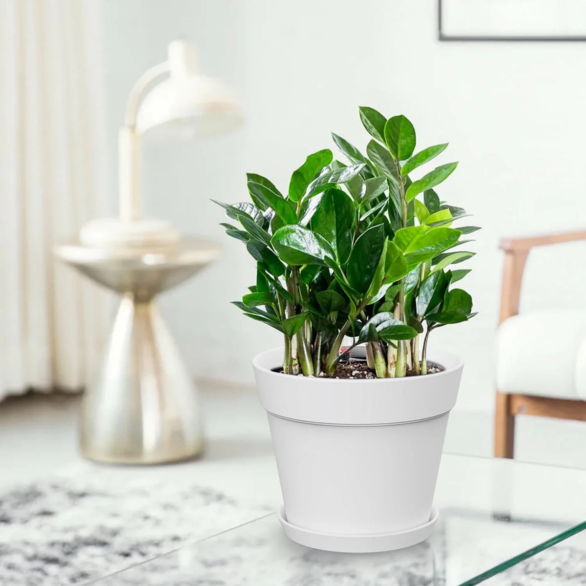6 Inch Plastic Planters 16 Pack White S61443