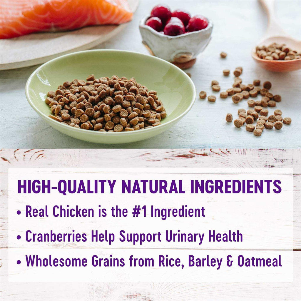 Chicken & Rice Dry Cat Food Q454