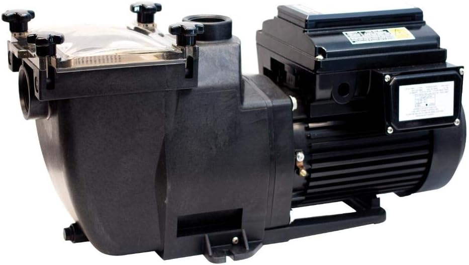 Variable Speed In Ground Pool Pump 1.5hp 220v W977923