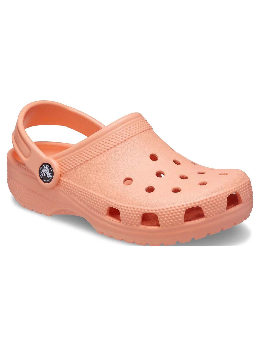 Toddler & Kids Classic Clog S843847