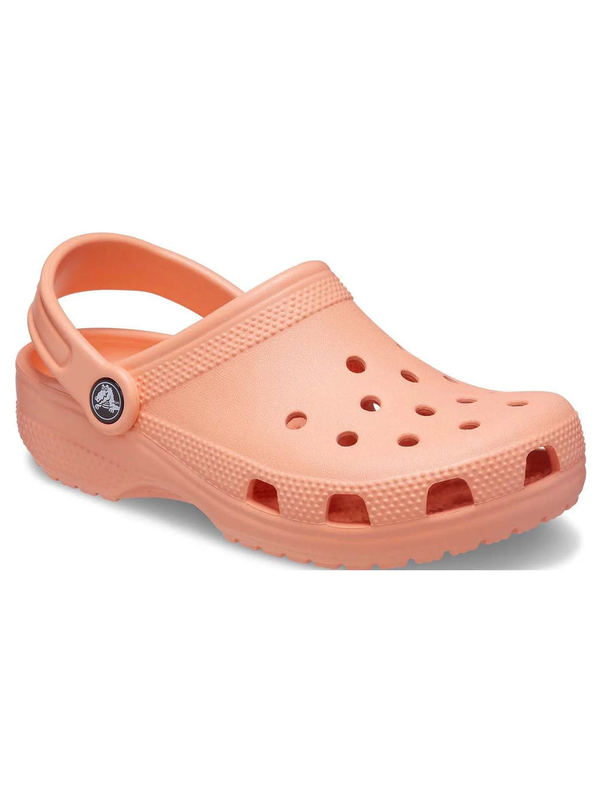 Toddler & Kids Classic Clog S843847