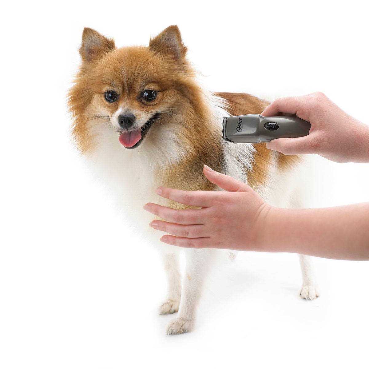 Cordless Trimmer K5809