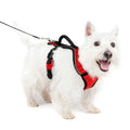 Dog Harness B26291
