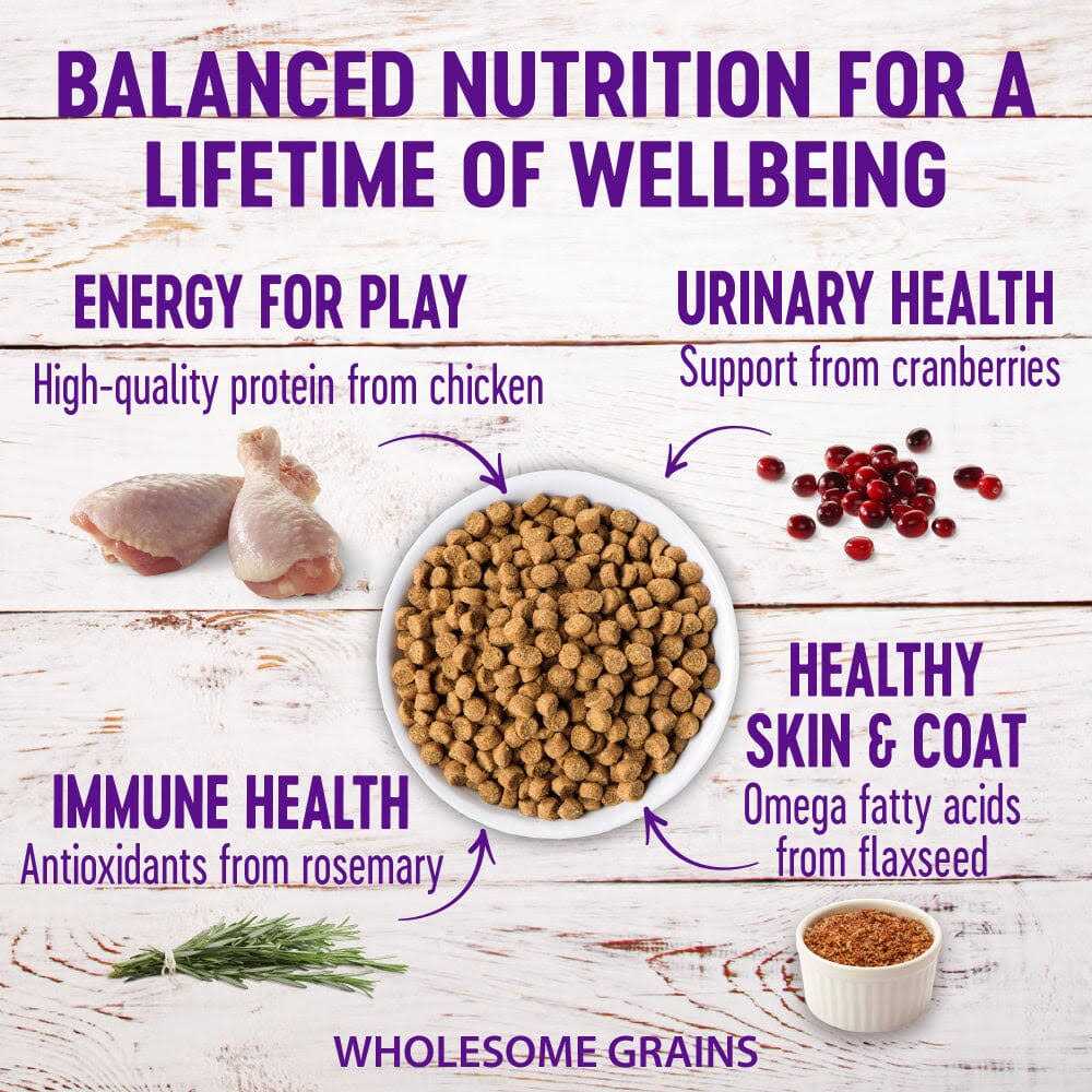 Chicken & Rice Dry Cat Food Q454