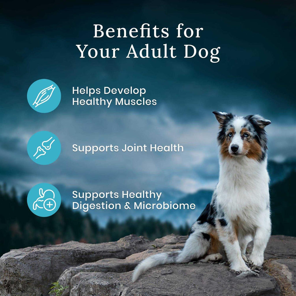 Chicken Dry Adult Dog Food D302
